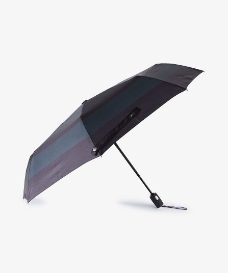 Parapluie bleu marine pliant à rayures