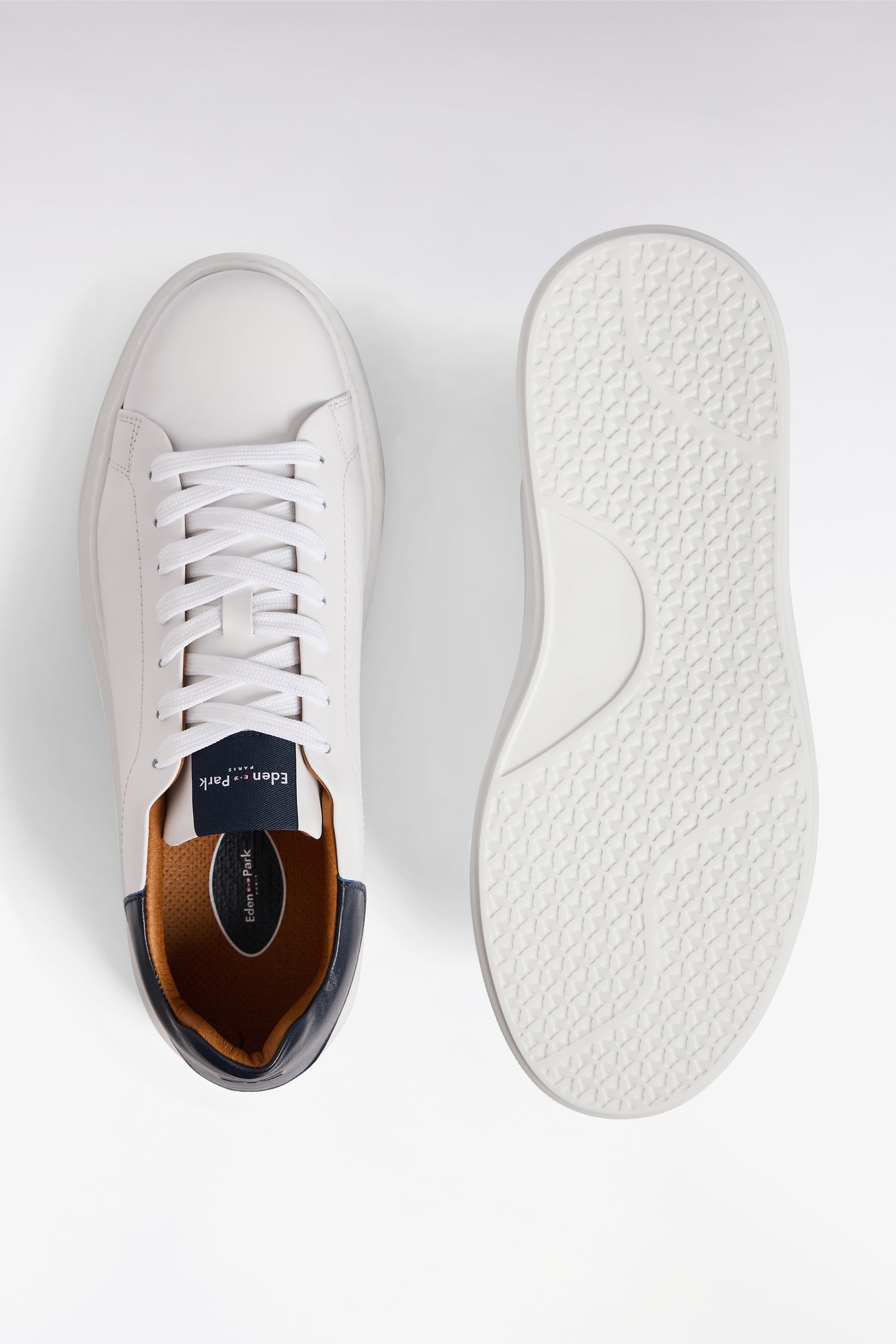 H25CHSTE0003_BC_g-hd-d1