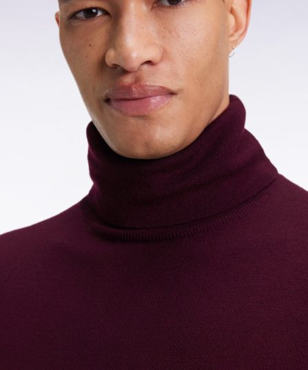 Pull col roulé en laine mérinos bordeaux