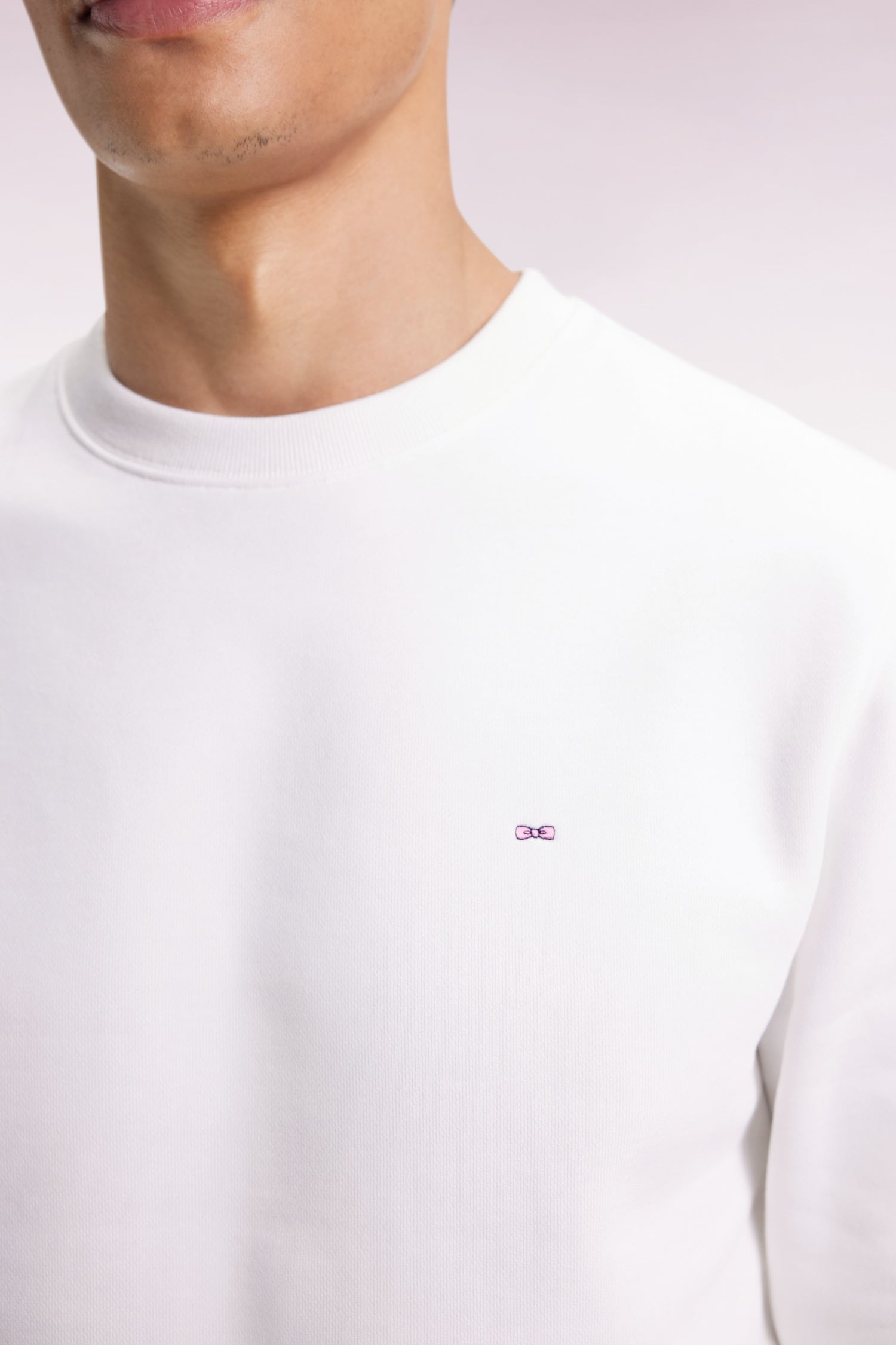 H25MAISW0004_ECC_c-hd-mfacepp