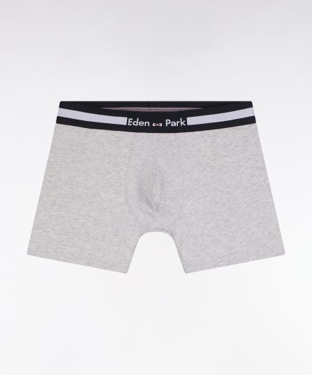 Boxer en jersey de coton gris à bande rayée