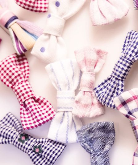 Broche noeud papillon