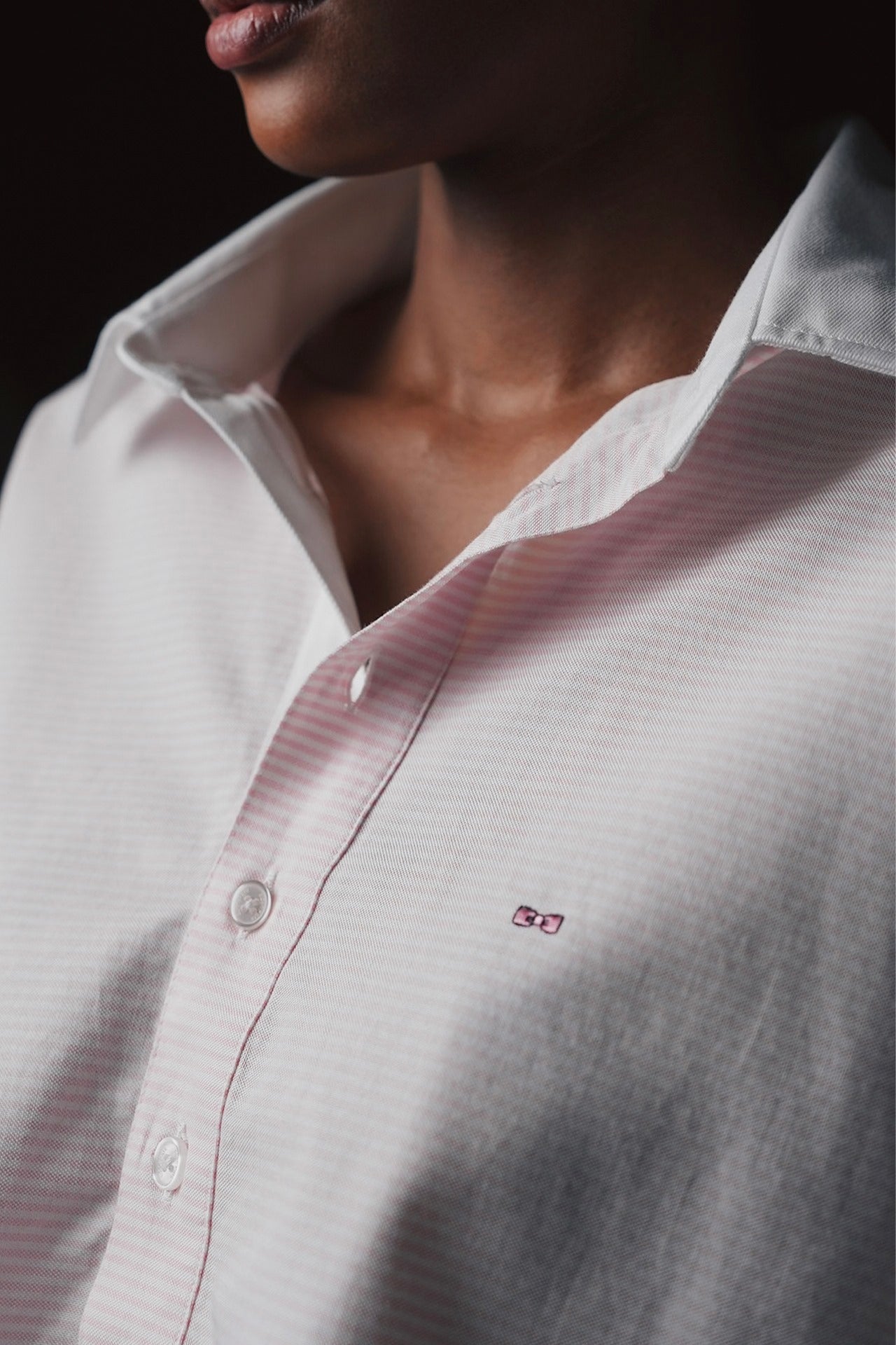 UPCHECR0009_ROM_c-hd-d1